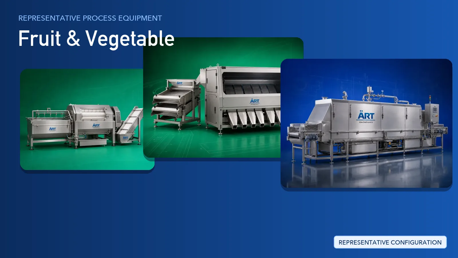 Representative Fruit & Vegetable process equipment by ART Mechatronics